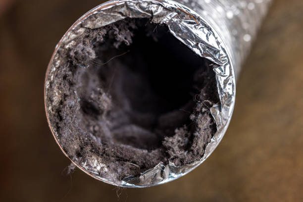 Best Air Duct Cleaning Company Near Me  in Mission Nyon, CA
